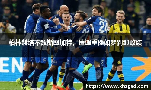 完美体育365平台官网
