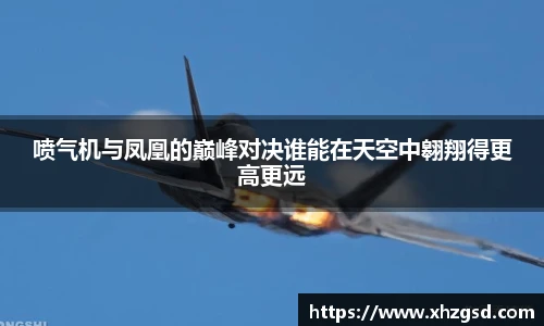 喷气机与凤凰的巅峰对决谁能在天空中翱翔得更高更远